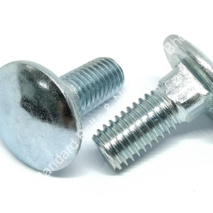 ALL Type Carriage Bolts