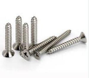 All Types SS taping Screw