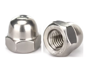 Nuts (Hex, Dome, Cap, Wing, T-Nut, etc.)